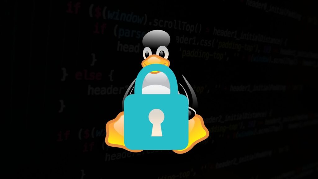 SEM RESTRIÇÕES LINUX PARA PROGRAMAR